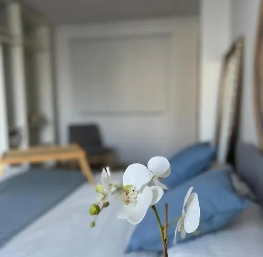 Apartman Sueno Del Drago